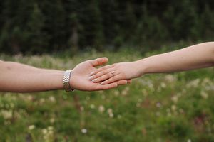 Two hands reaching towards each other across a field of blooming wildflowers.