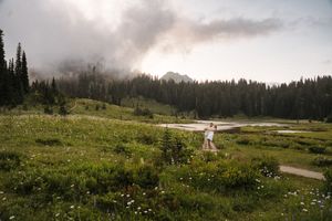 A misty mountain landscape with wildflowers and hiking trails at sunset.