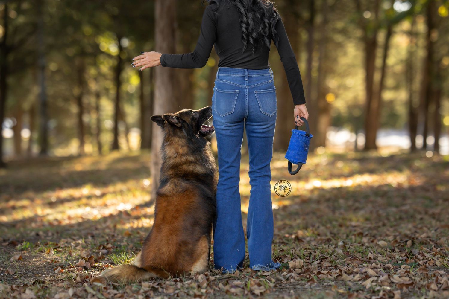 A German Shepherd dog sits obediently next to a person in blue jeans in a sunlit autumn forest.