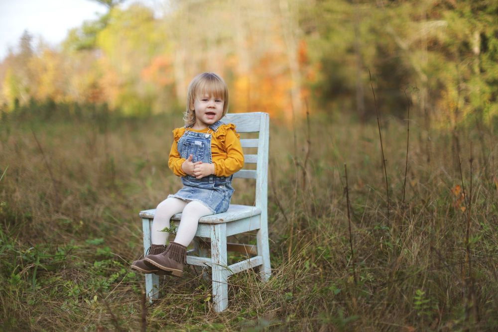 A rustic blue wooden chair sits in a golden autumn field surrounded by tall grass and fall foliage.