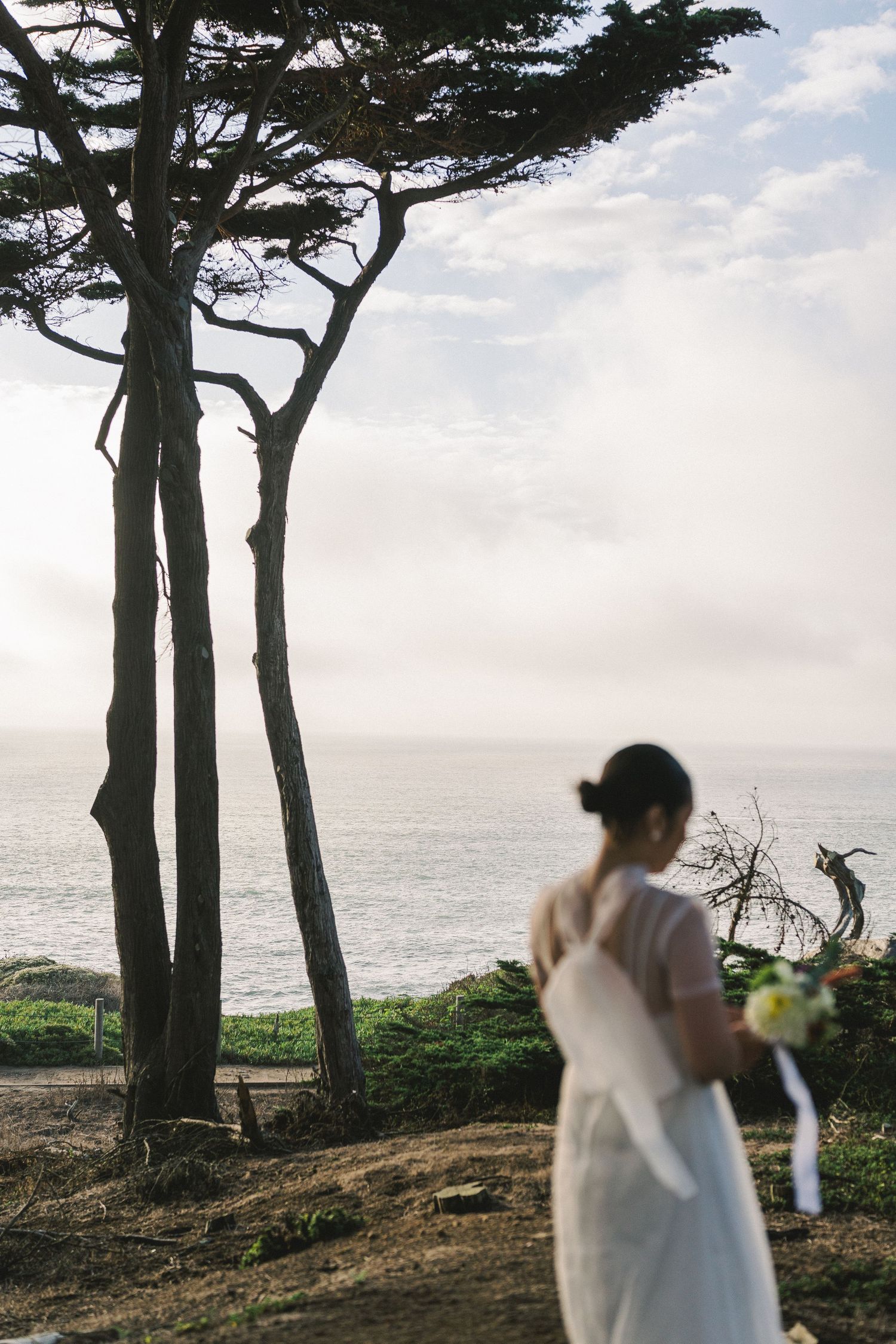 A scenic coastal view with cypress trees silhouetted against the ocean and a figure in white enjoying the landscape.