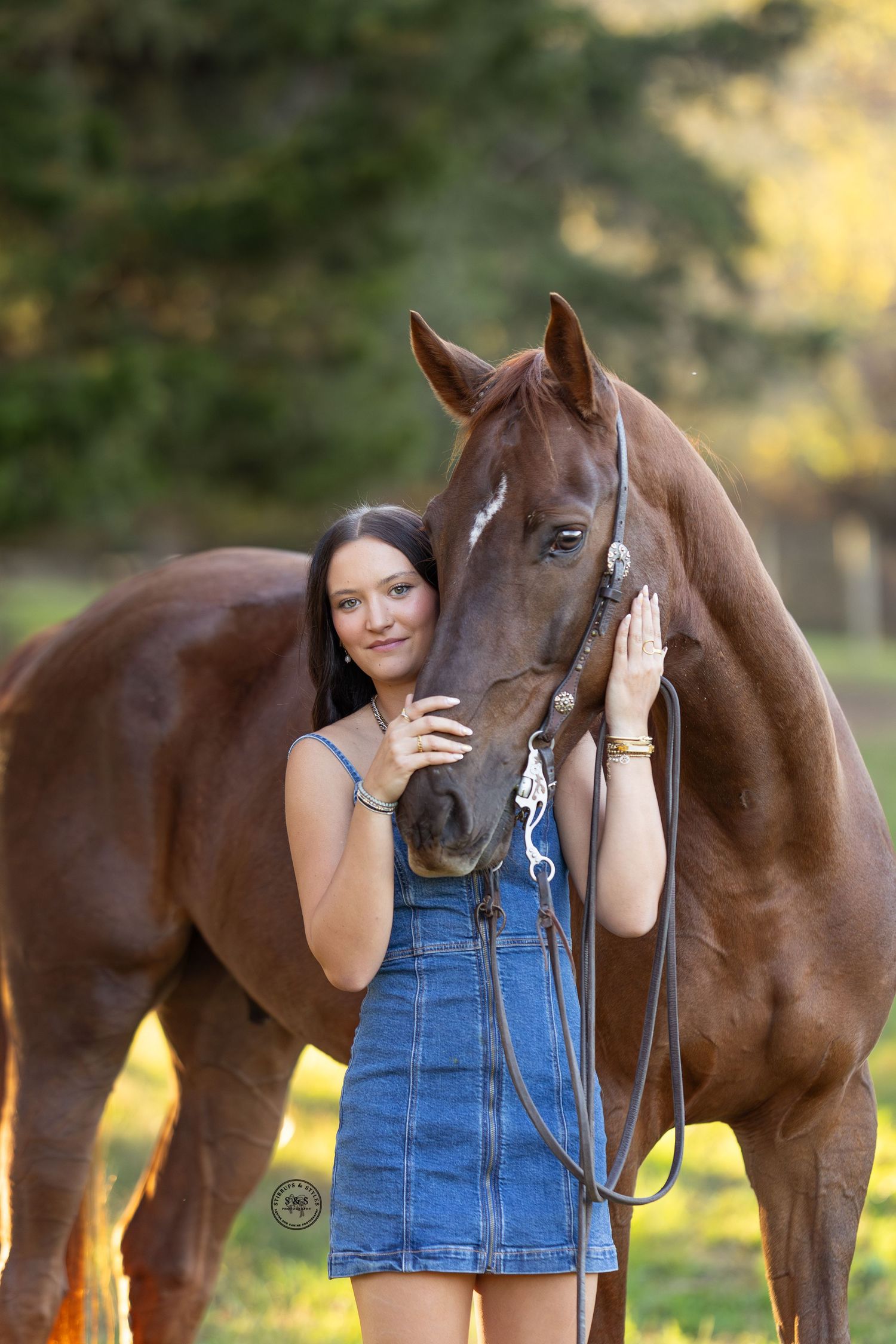 Beautiful chestnut horse and companion share a tender moment in a sun-dappled field during golden hour.