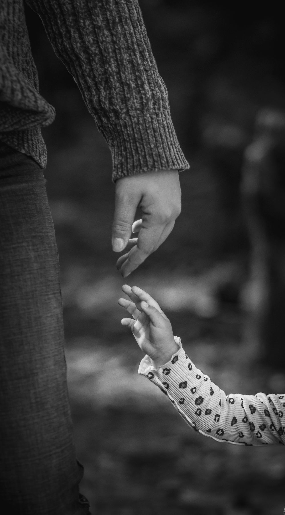 Black and white close-up sequence showing hands holding and reaching for each other against a dark background. Fort Worth texas family photo