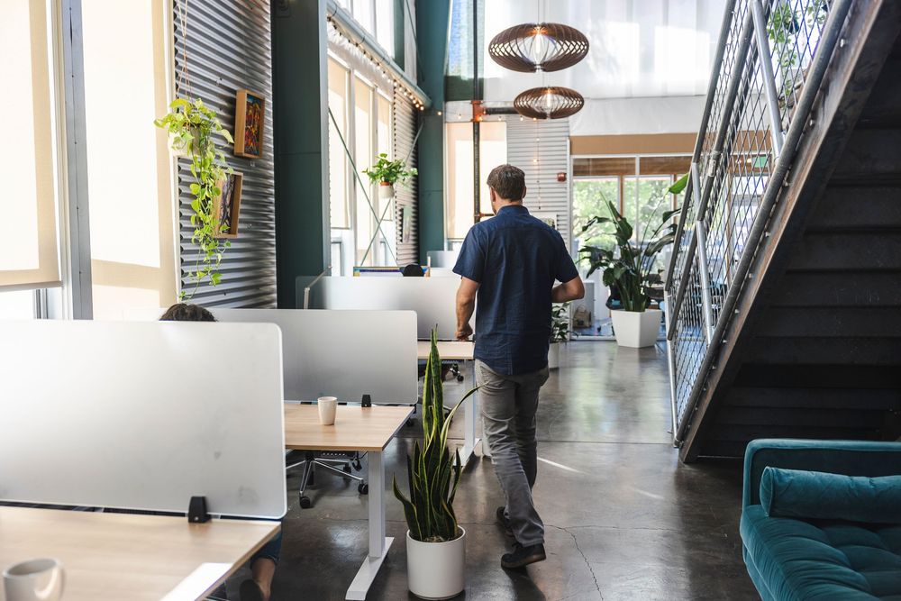 Modern office interior with hanging pendant lights, plants, and open workspace design.