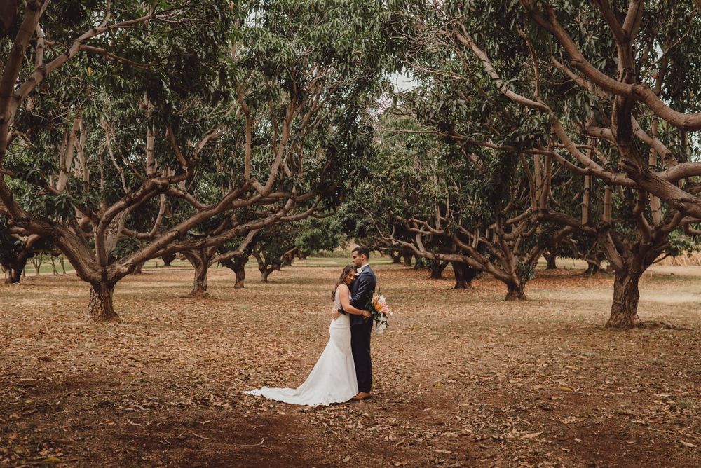 Wedding couple poses romantically in a grove of mature trees during sunset.