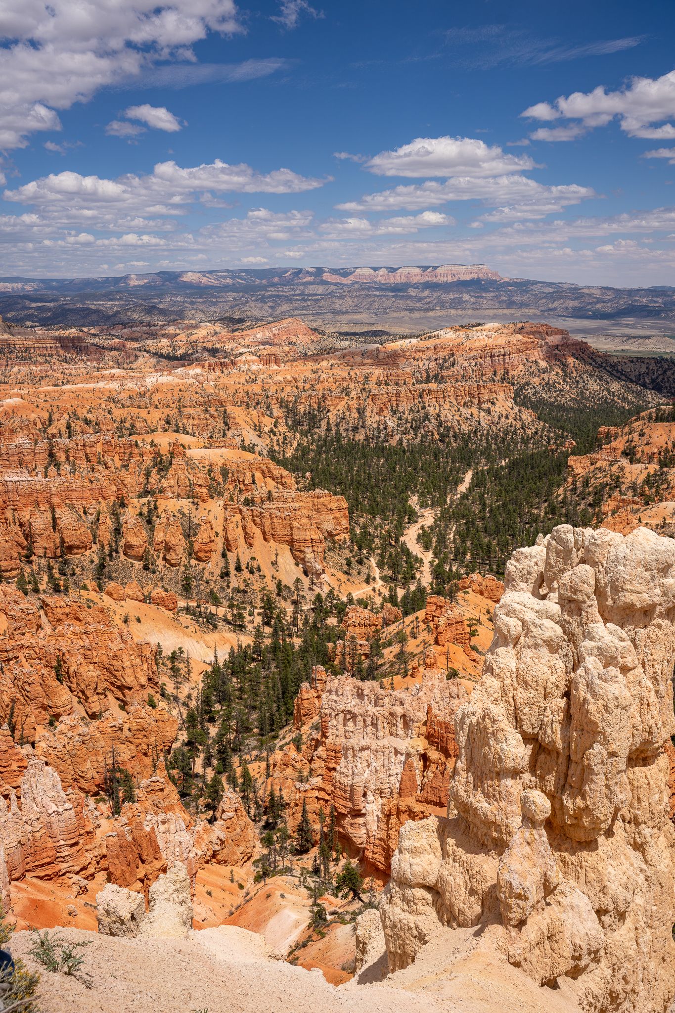 Scenic overlook of Bryce Canyon National Park showing orange hoodoo rock formations and pine forest under blue skies.