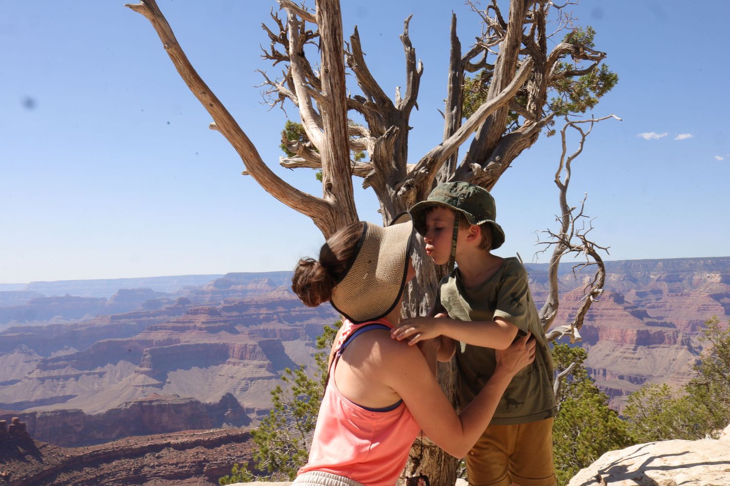 Two people sharing a kiss on a sunny day at the Grand Canyon with desert landscapes and rugged cliffs in view.