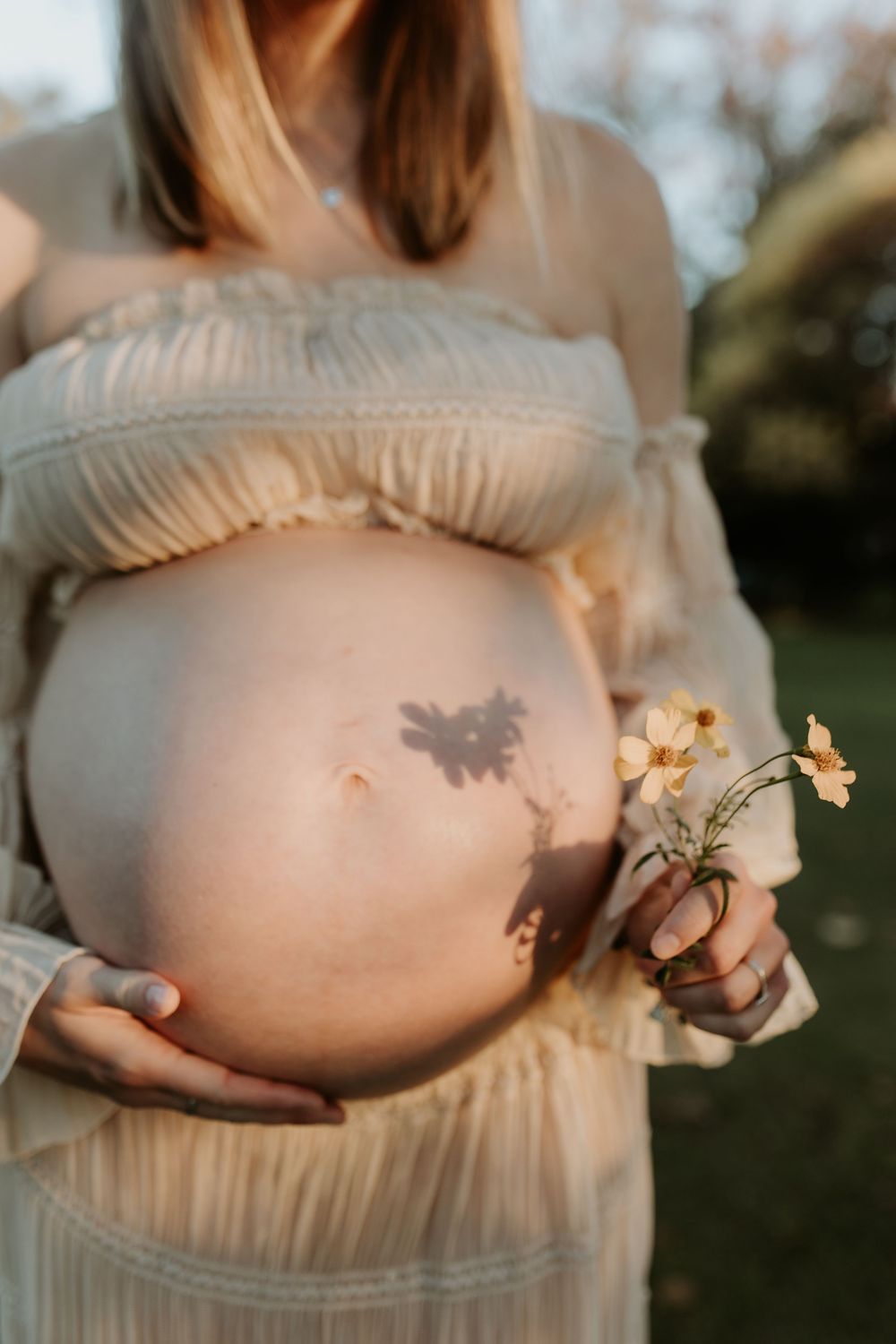 Pregnant woman in flowing white dress holds dried flowers while shadow of petals falls across her belly in sunlit outdoor setting.