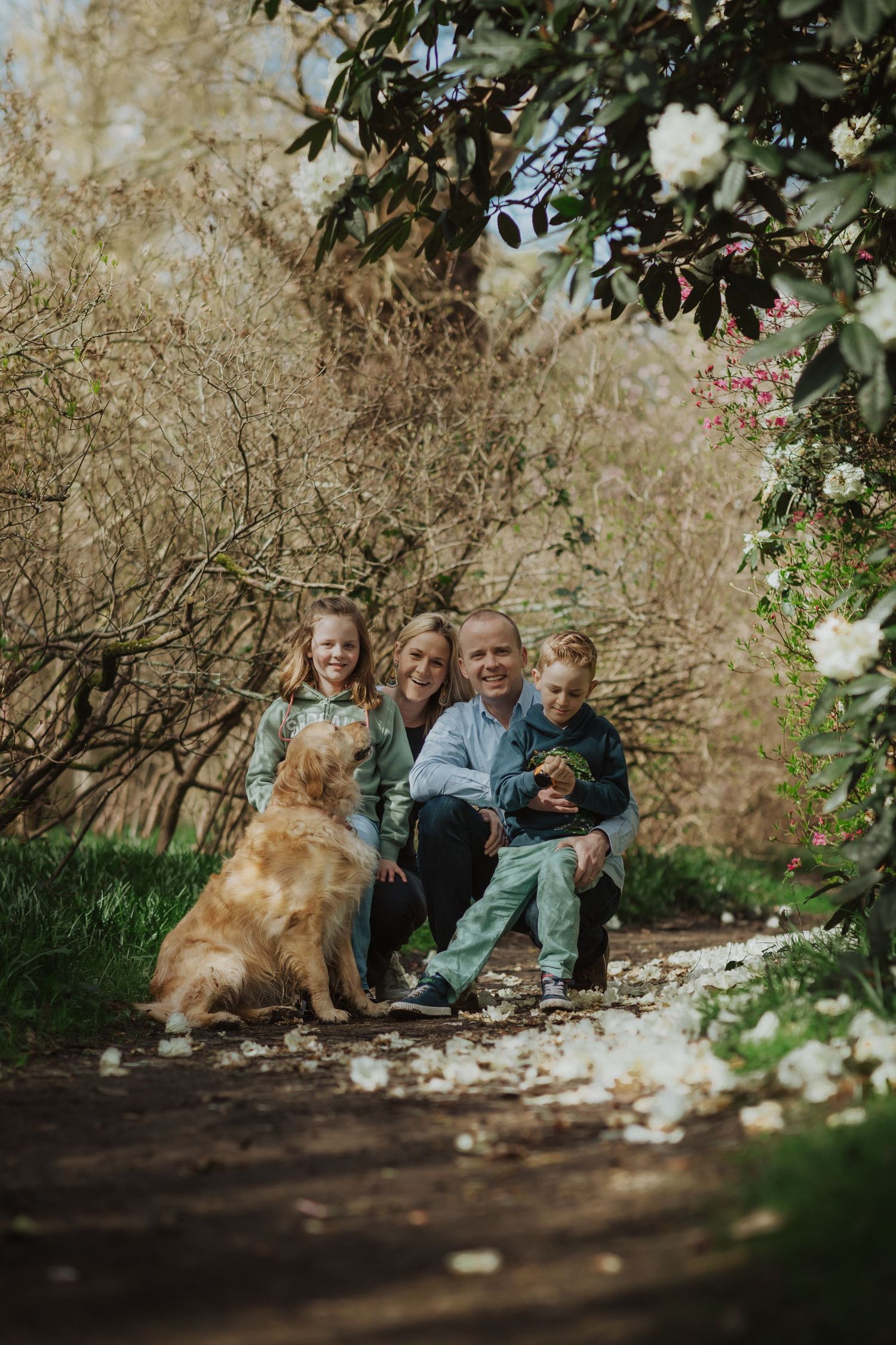 Group sitting on garden path with golden retriever under white flowering shrubs and bushes on sunny day.