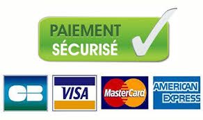 Credit card logos for Visa, MasterCard, American Express and CB payment methods with green secure payment banner.