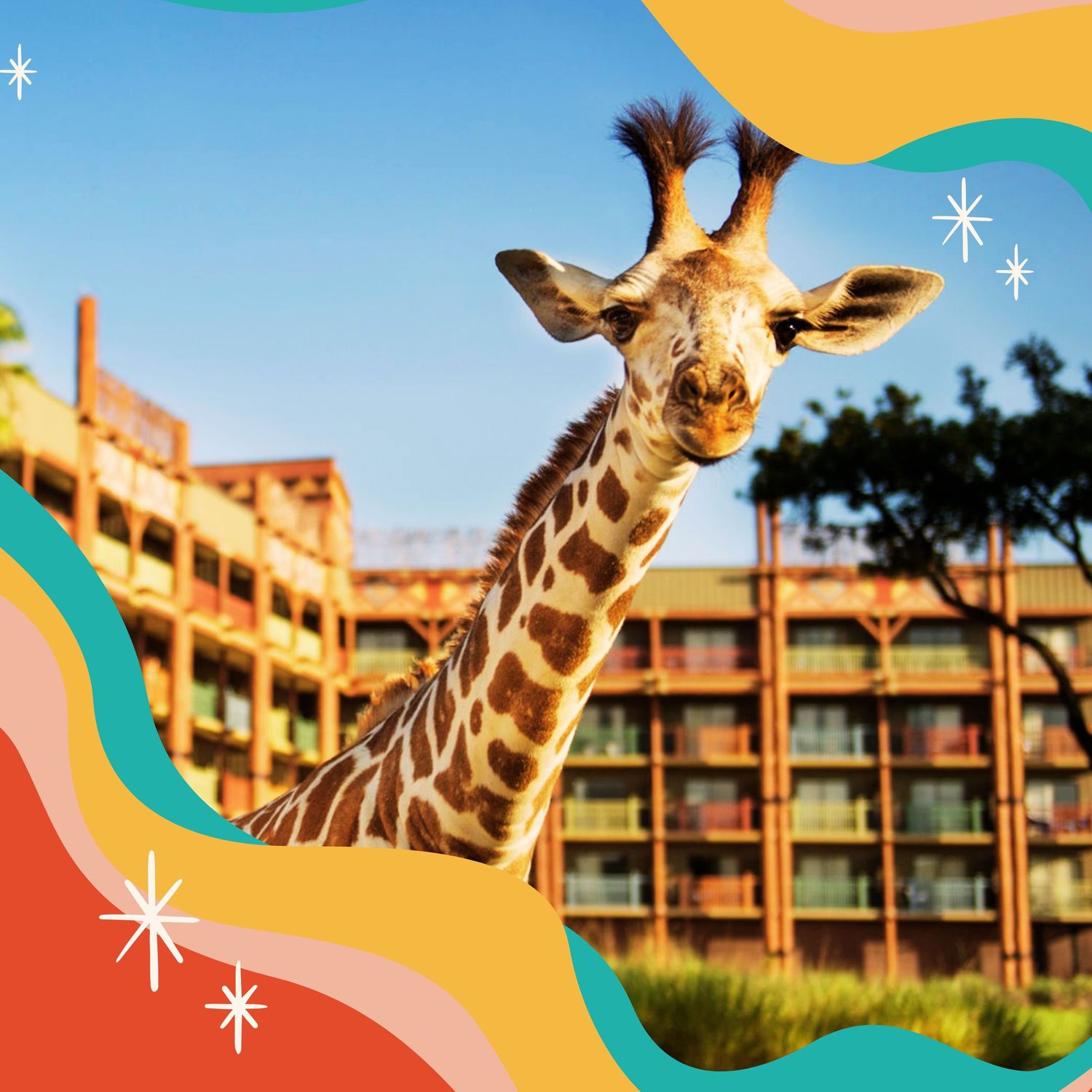 Photo of a giraffe at Animal Kingdom Lodge