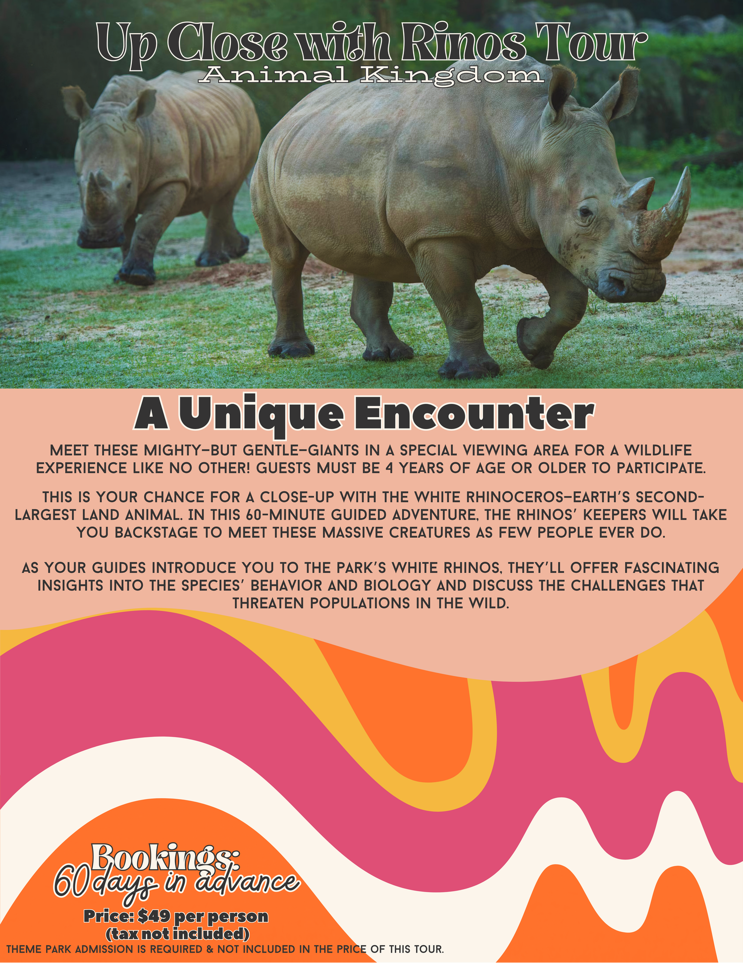 Promotional image of white rhinoceros grazing in a lush green habitat for an up-close animal encounter tour.