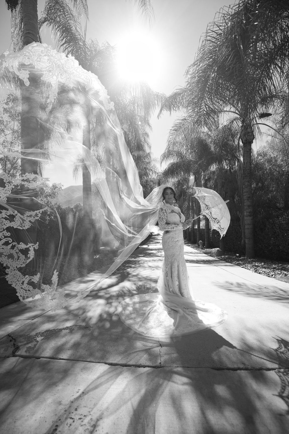 A dreamy black and white photo sequence shows a flowing white dress twirling in motion along a palm-lined path.