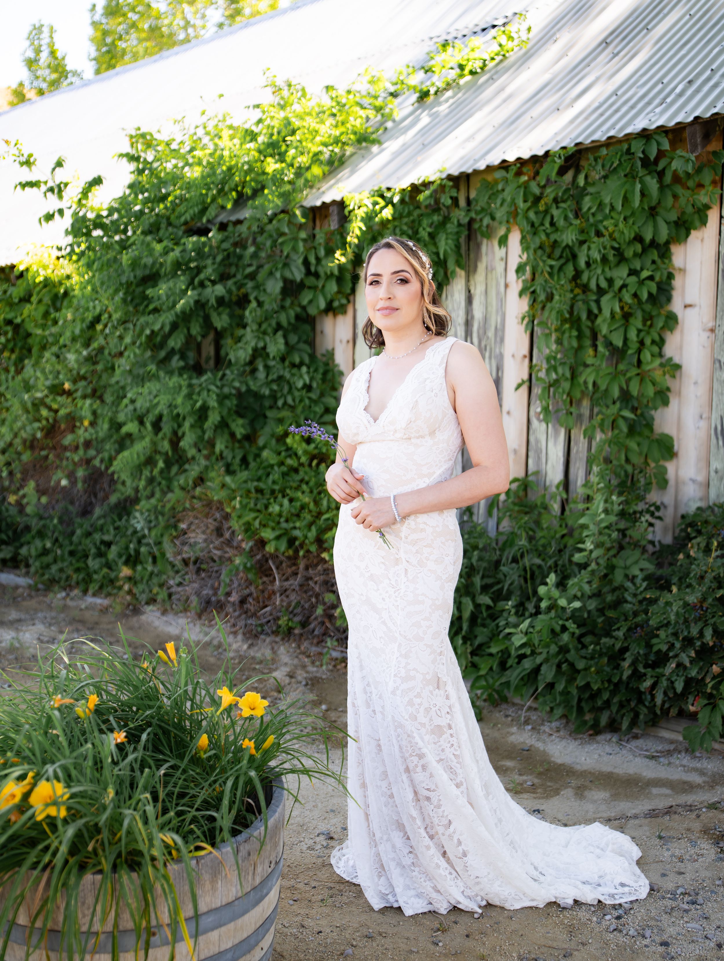 Elegant lace wedding dress shown against rustic barn wall with climbing vines and yellow daylilies in foreground.