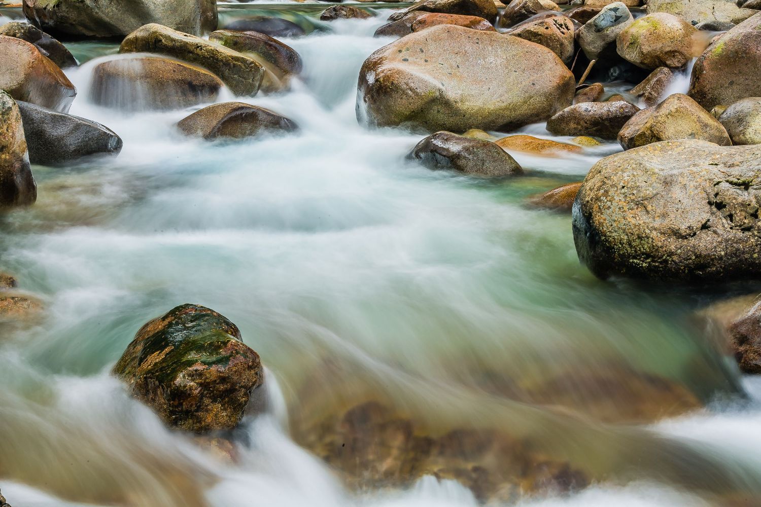 Lynn Creek, Lynn Canyon, North Vancouver