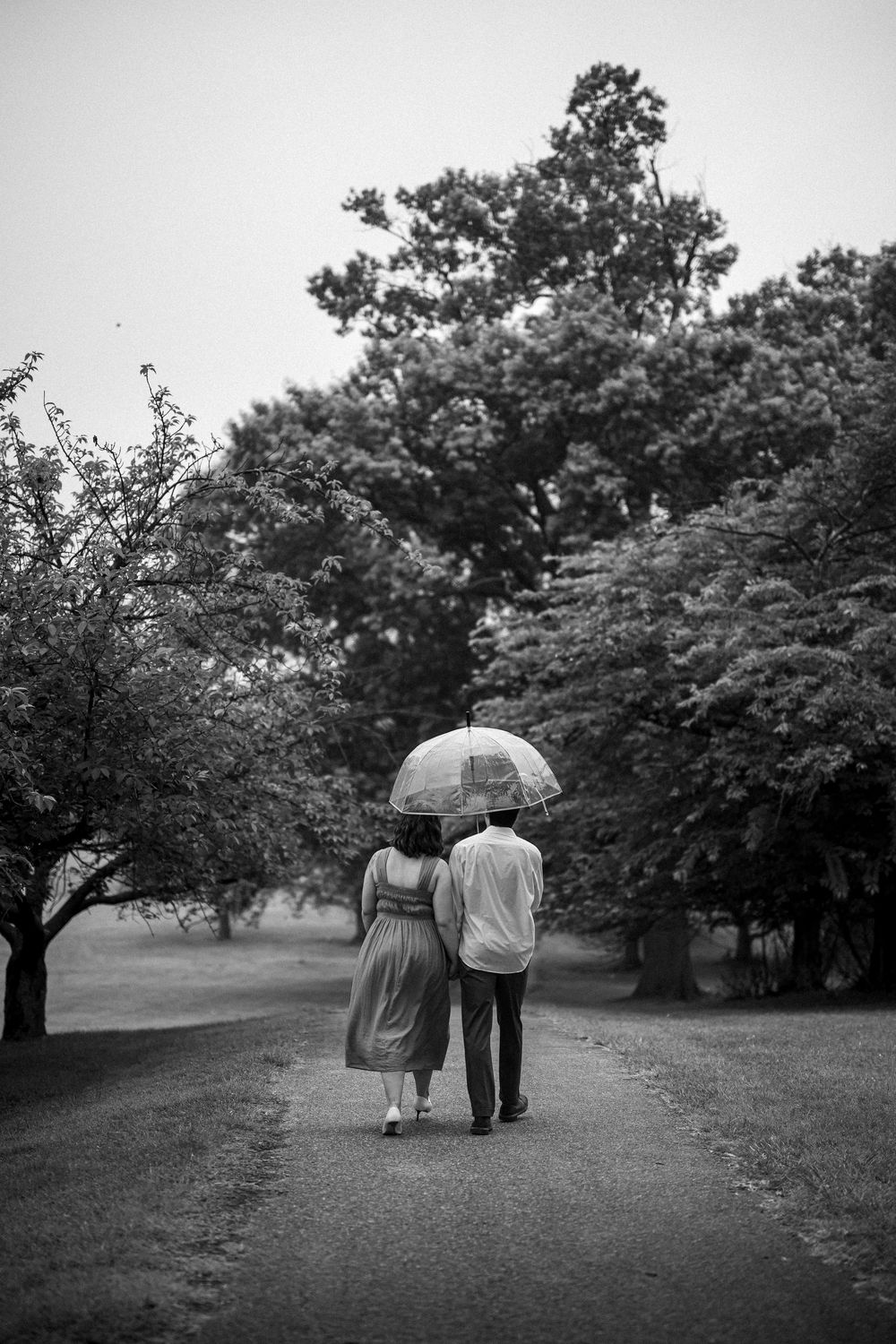Two people walk together down a tree-lined path sharing a clear umbrella in black and white photography.