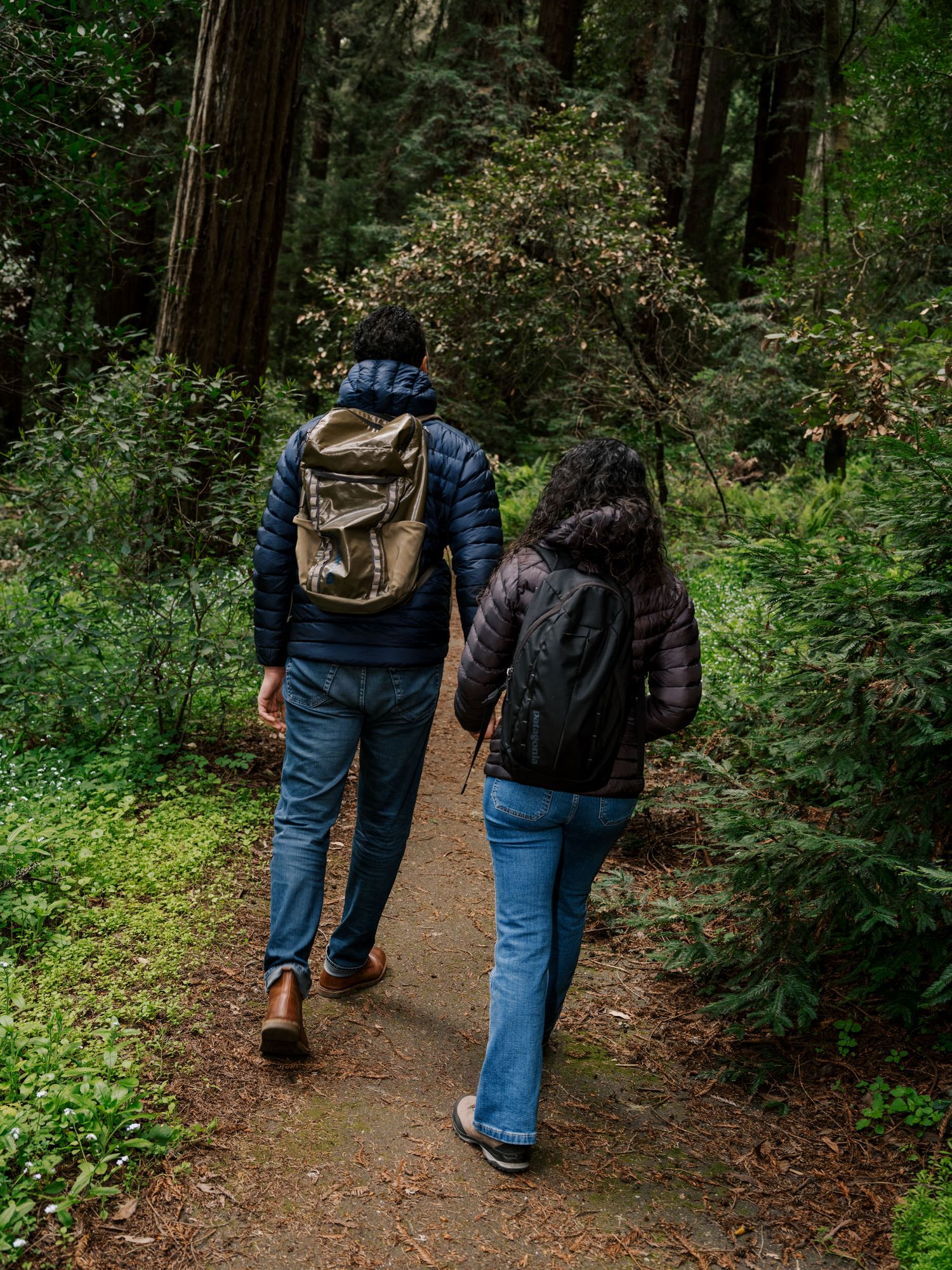 Two hikers walking on a scenic forest trail with backpacks through lush green forest on a misty day.
