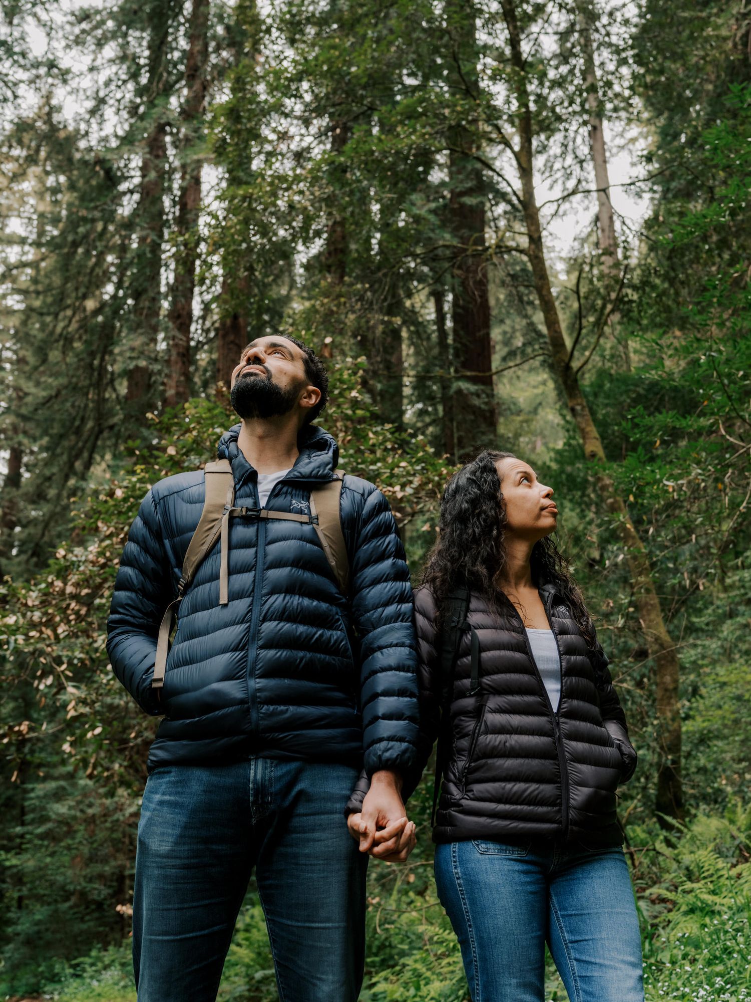 Two hikers in puffy jackets holding hands and looking up at tall evergreen trees in a misty forest.