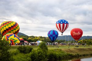 Multiple hot air balloons in vibrant colors ascending over a grassy landscape.