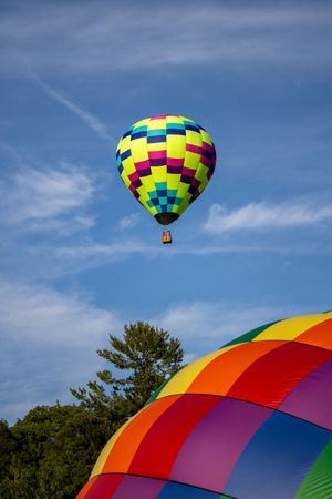 Geometric patterns of colorful hot air balloons rising against blue sky and tree line.