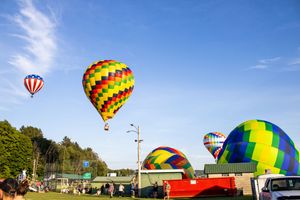 Multiple hot air balloons launching into bright blue sky near roadway.