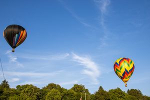 Multiple colorful hot air balloons float across a bright blue sky above tree line.
