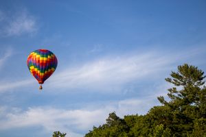 Colorful hot air balloons drifting over forest canopy during daytime.