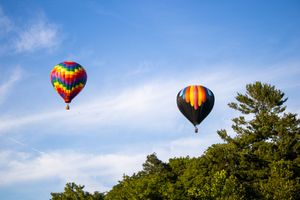 Multiple hot air balloons floating in clear blue sky above trees.