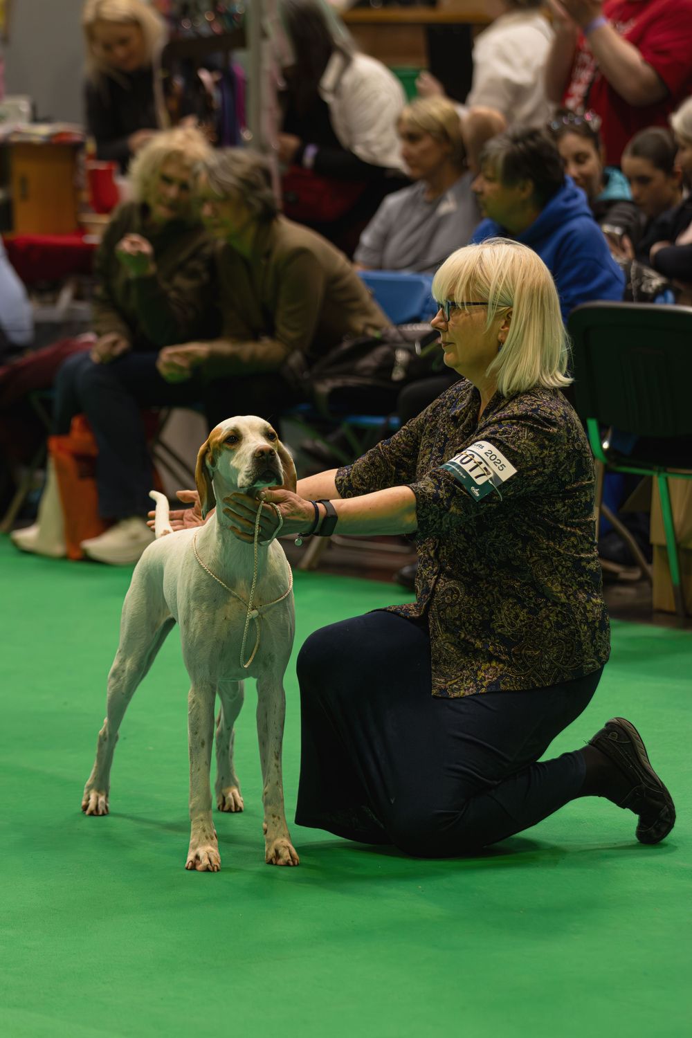 Handler and show dog practicing obedience exercises on a green carpet arena floor during a competition event.