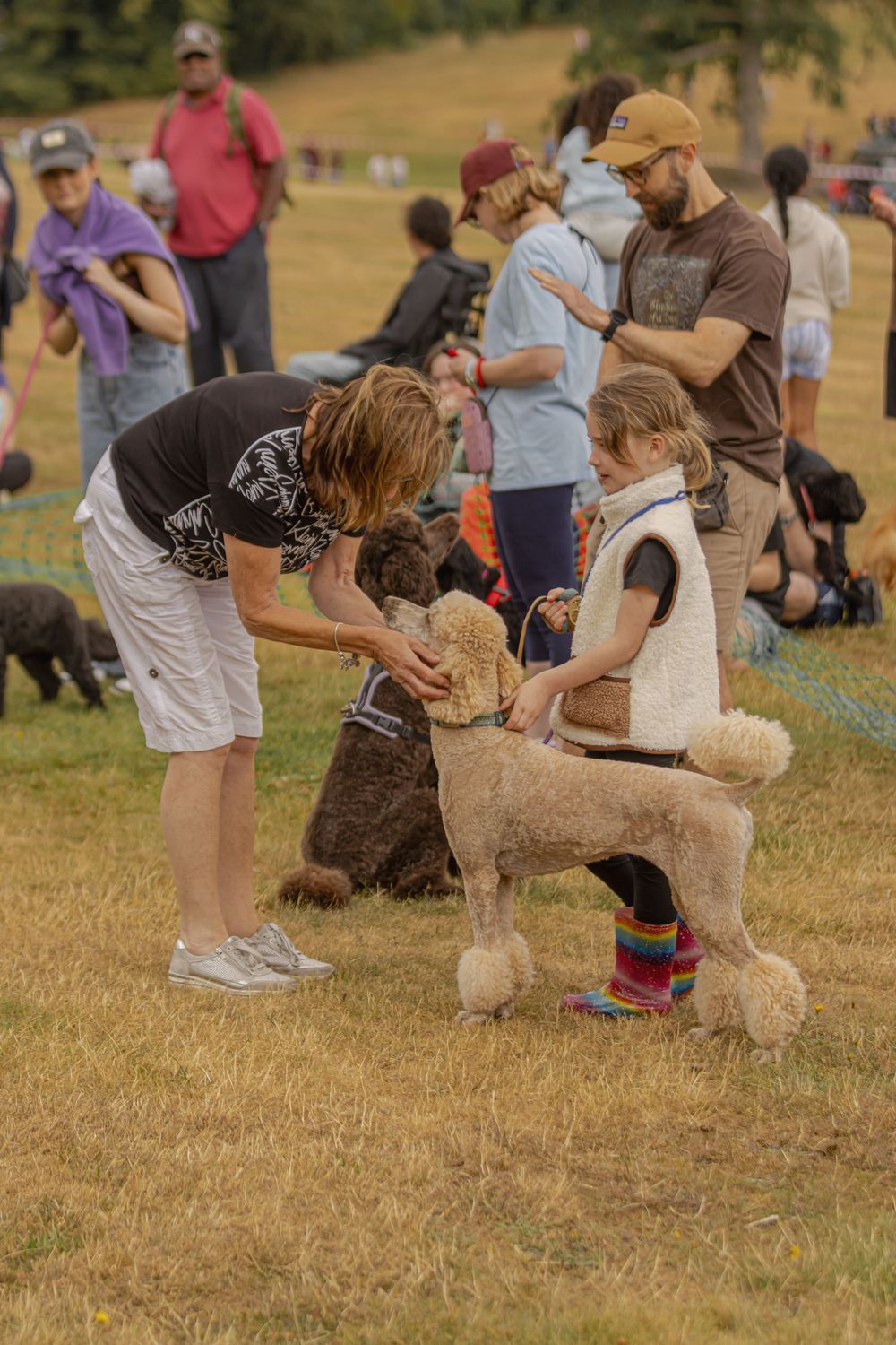 A Standard Poodle stands with its handler at an outdoor dog show event on a grassy field with spectators in background.