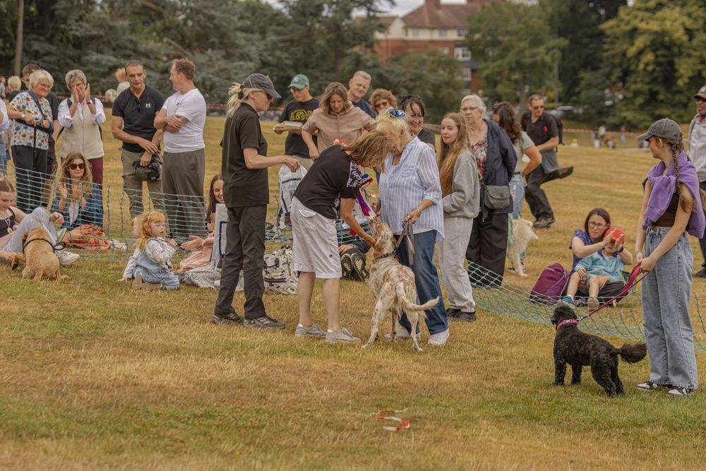 A crowd of people and dogs gather outdoors in a park during a sunny afternoon event.