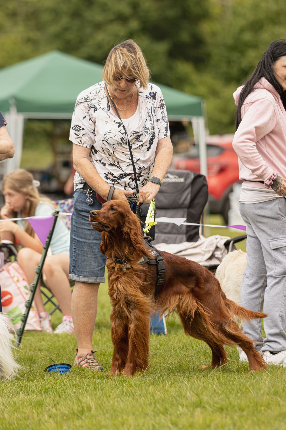 An Irish Setter performs tricks with a handler on grass at an outdoor dog training event.