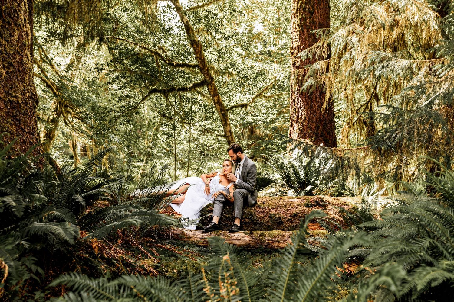 A couple sits together on a fallen log surrounded by lush ferns and towering trees in a peaceful forest setting.
