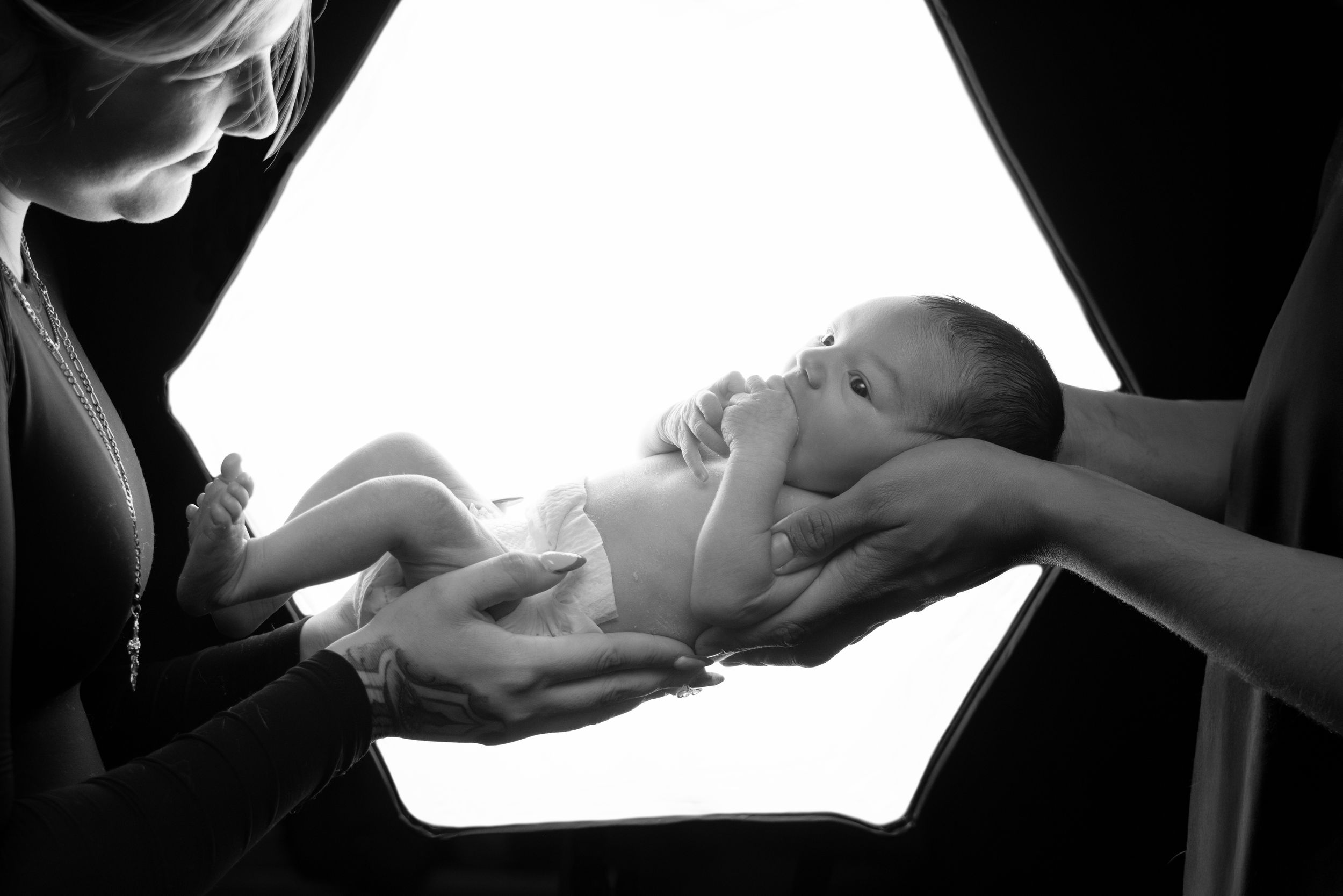 Two adults gently hold a newborn baby up to a hexagonal light source in a black and white studio photo.