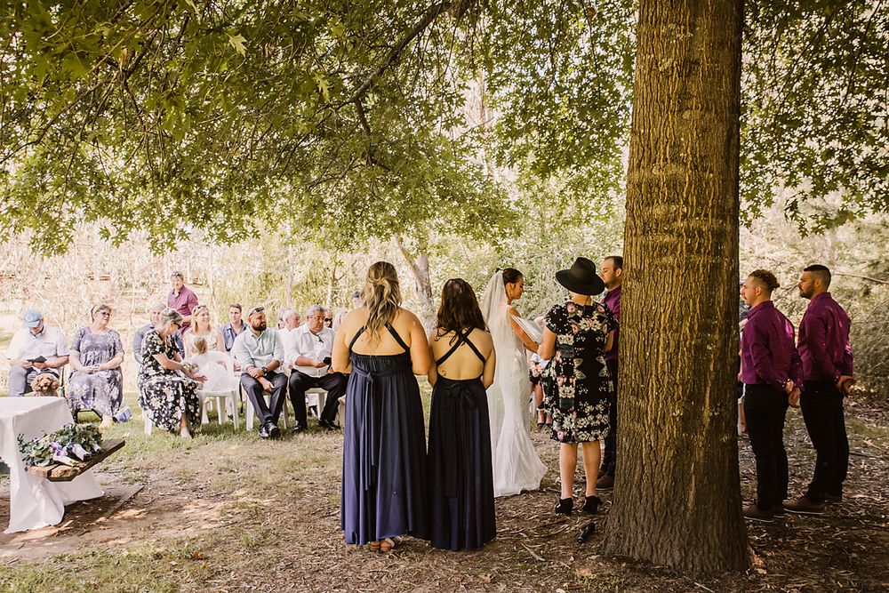 Outdoor wedding ceremony under a large tree with guests seated on wooden chairs as attendants gather near the trunk.