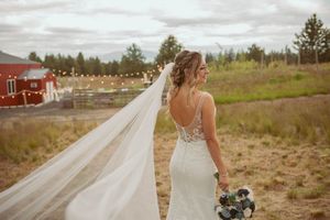 Elegant wedding photos in a natural field setting with long cathedral veil and white bridal gown details.