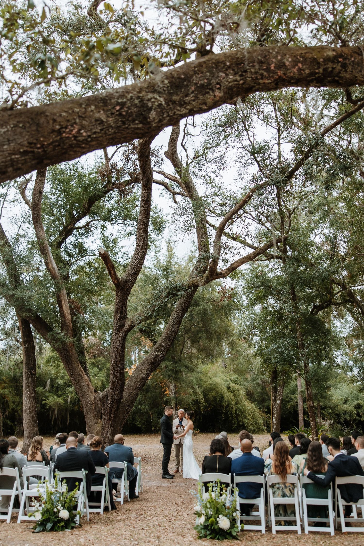 Intimate outdoor wedding ceremony beneath sprawling oak trees with white chairs and floral arrangements.