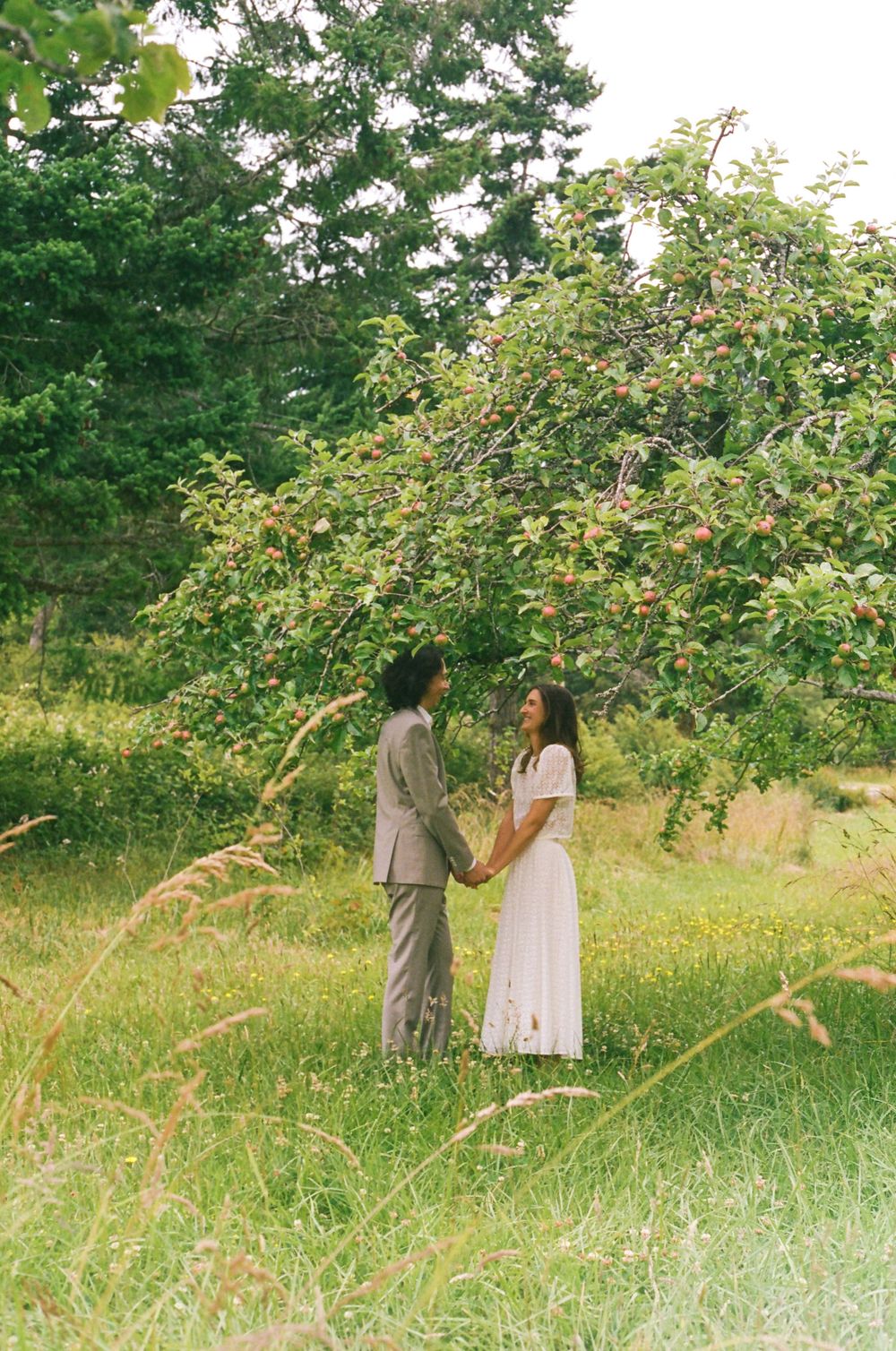 A couple stands romantically in a lush orchard surrounded by apple trees and tall grass.