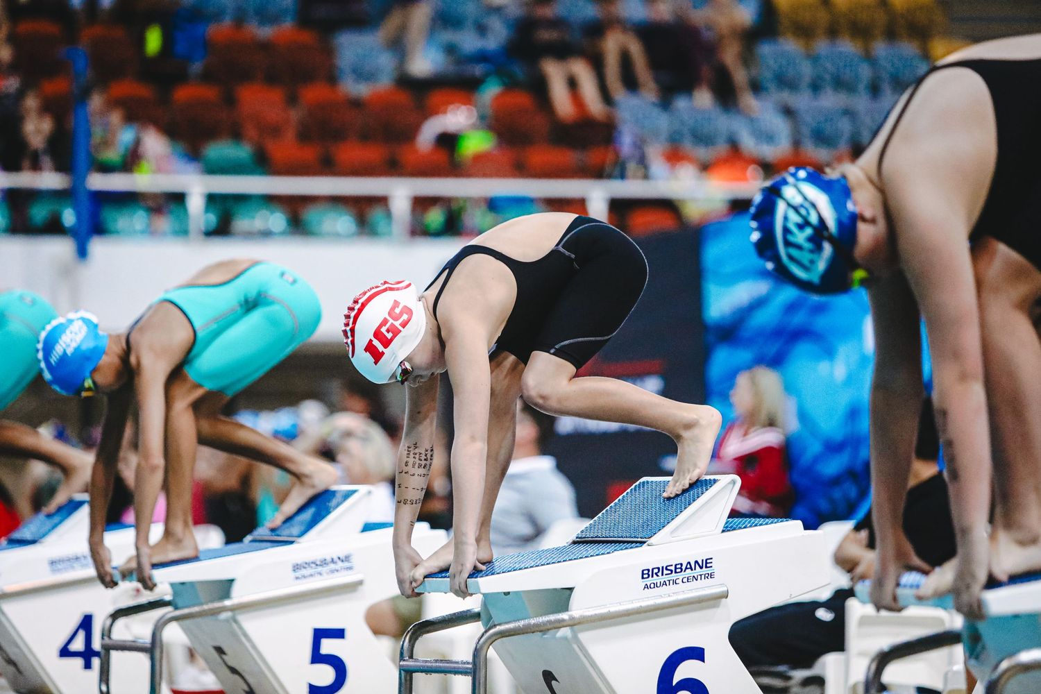 A swimmer dives into a competition pool during a swimming event with spectator seating and timing equipment visible.