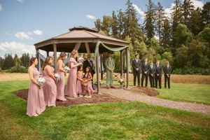 Wedding party in pink dresses and dark suits stands under a gazebo during an outdoor ceremony with evergreen trees.