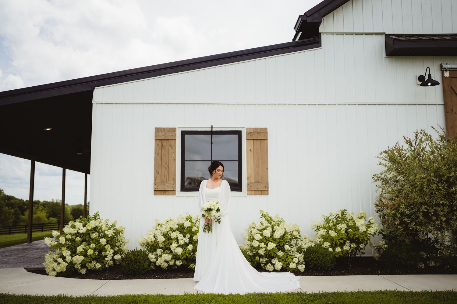 A beautiful white barn wedding venue with tan shutters and hydrangea bushes blooming along the exterior wall.
