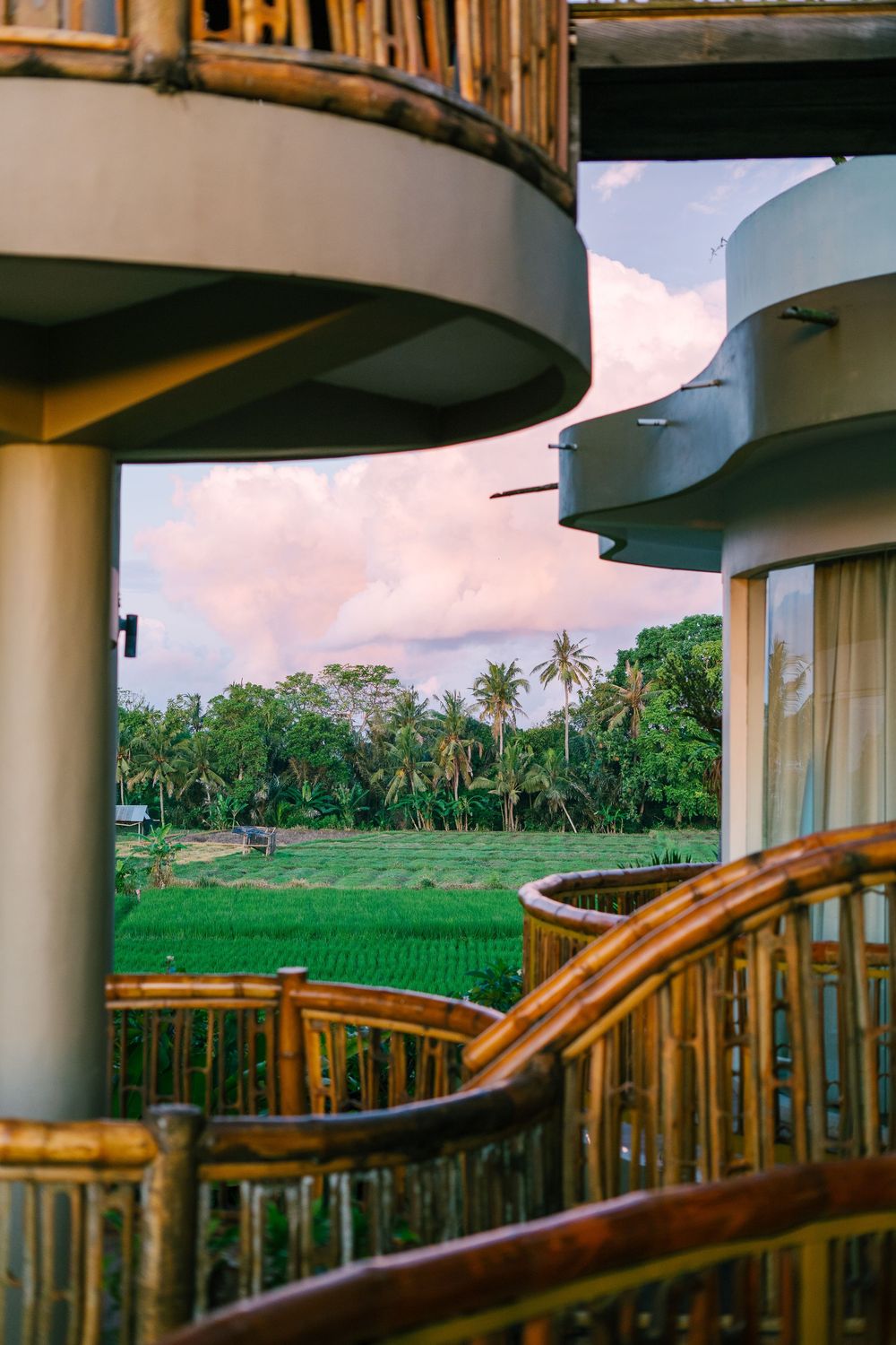 Modern curved architecture with bamboo details overlooking tropical rice fields and palm trees.