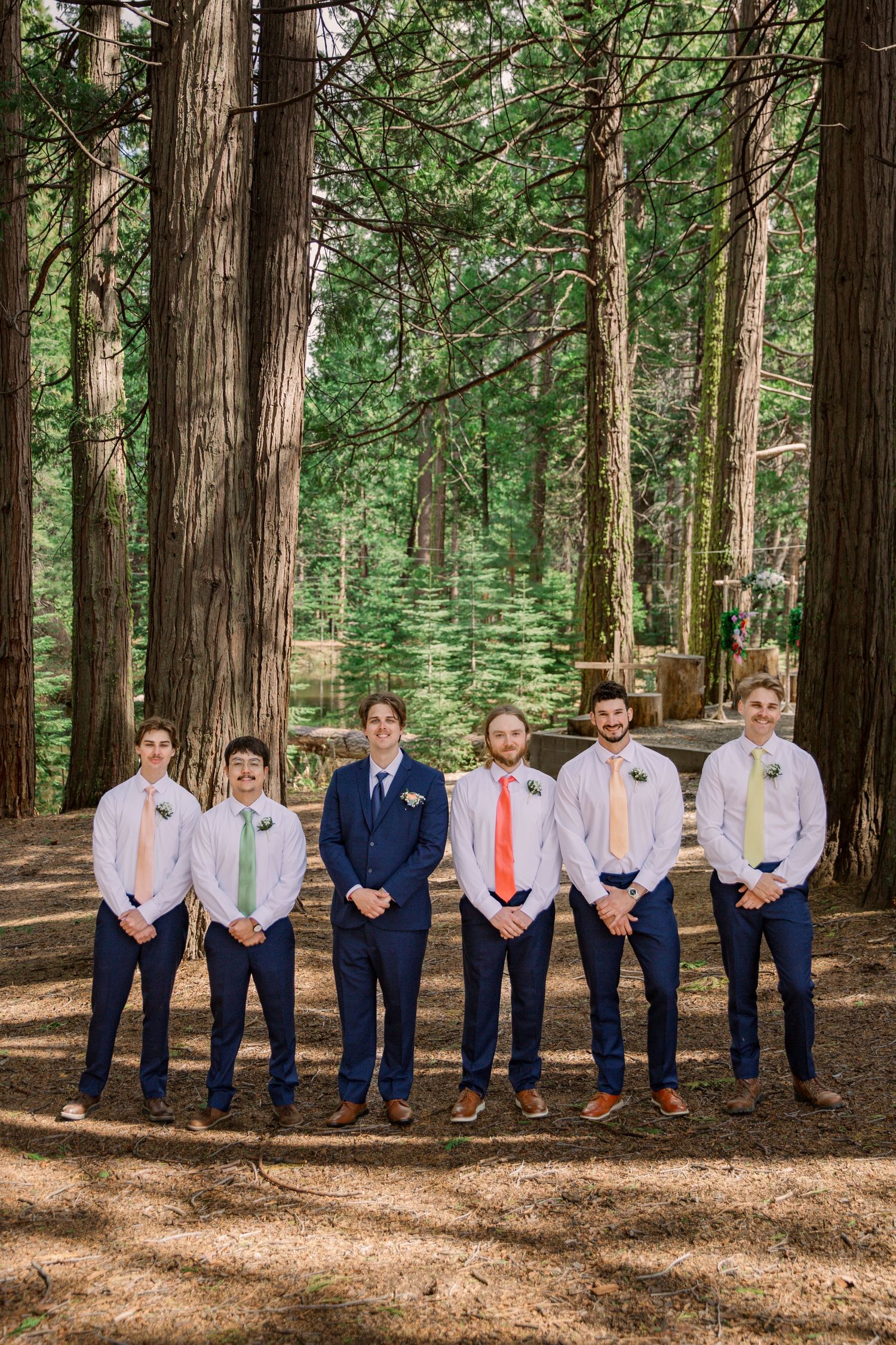 Groomsmen in navy suits and colorful ties pose in a majestic redwood forest setting.