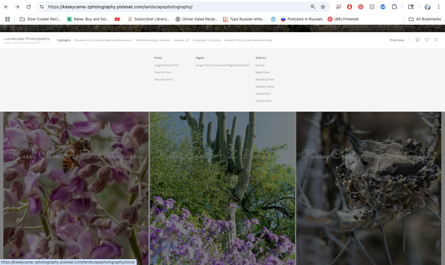 how to order colorful, digital Sonoran desert photography from rural Marana, Arizona photographer