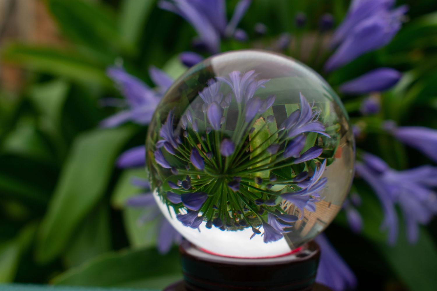 Lensball