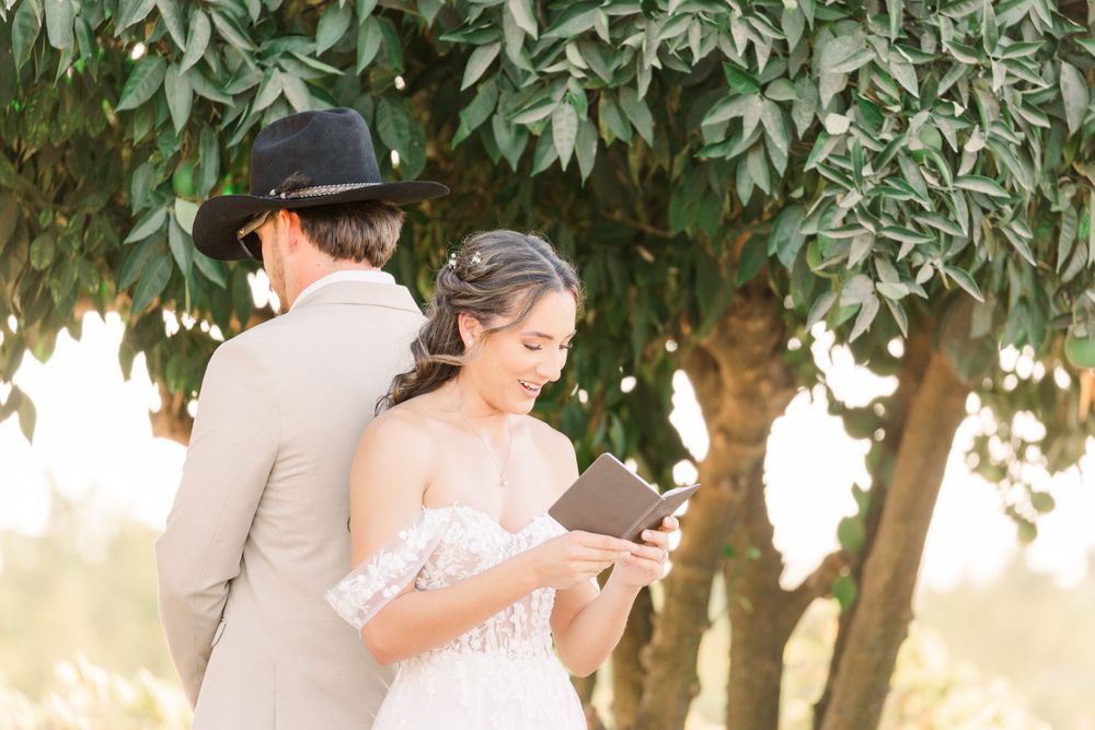 Sunlit wedding portraits under lush green trees creating a romantic atmosphere.