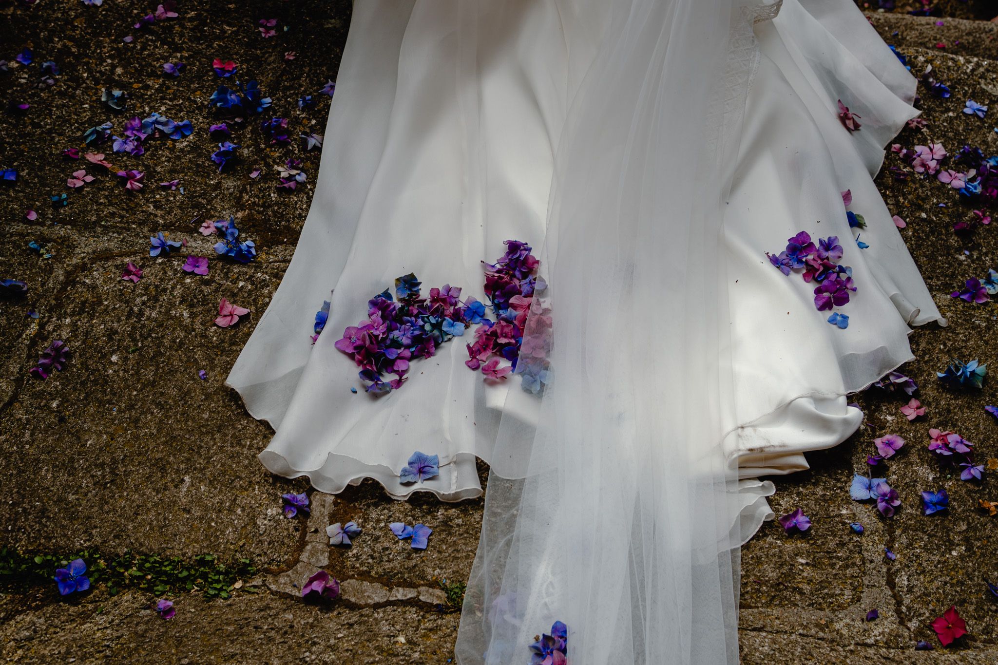White wedding dress train with scattered purple flower petals on ground.