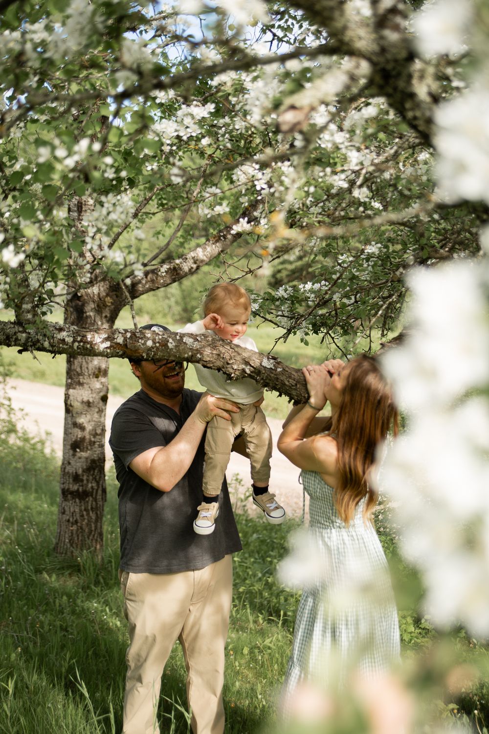 Family shares joyful moment together beneath flowering spring trees in a sunlit meadow.