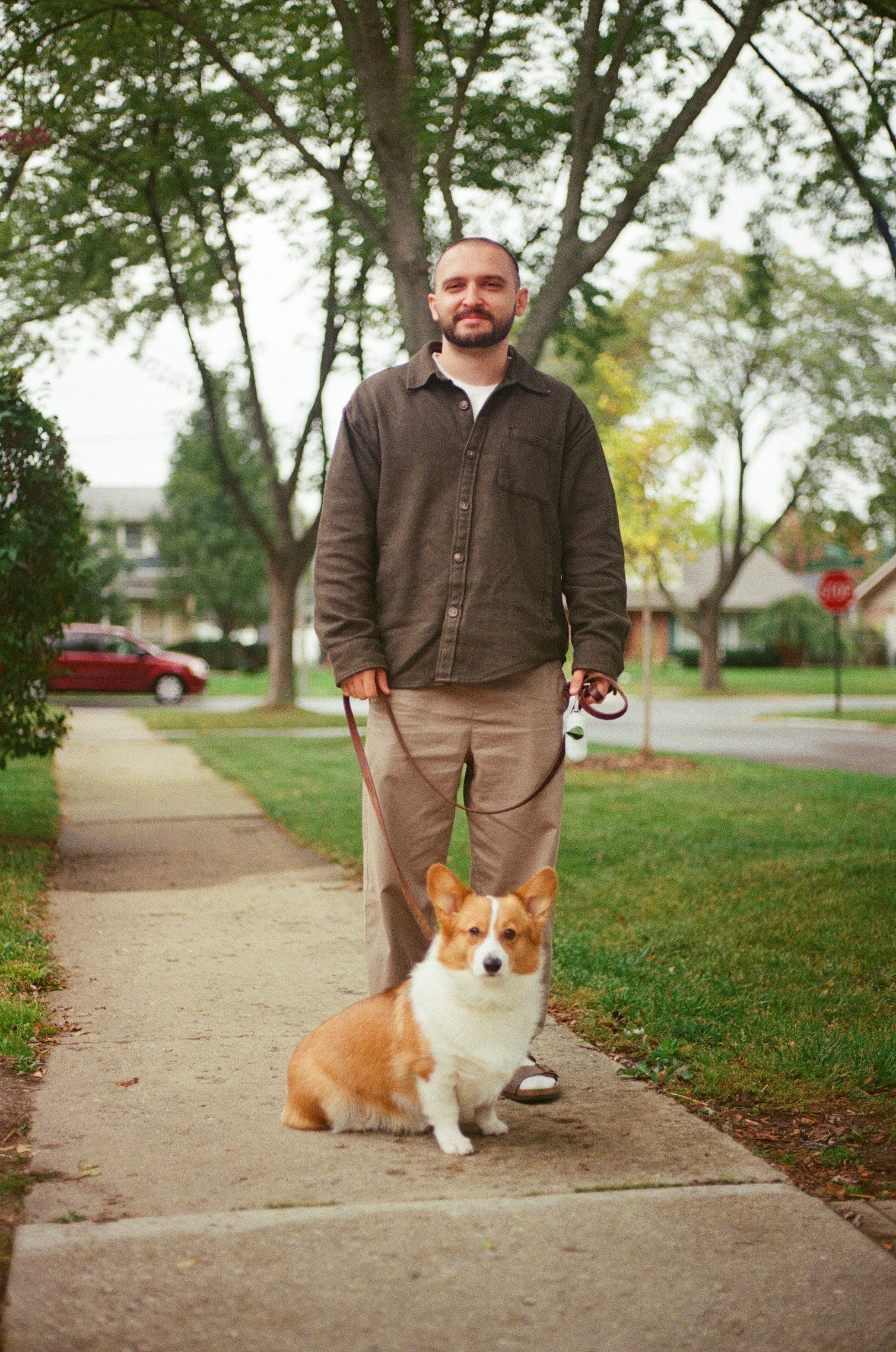 Man in brown shirt walks a Corgi dog on a leash along a suburban sidewalk surrounded by green trees.