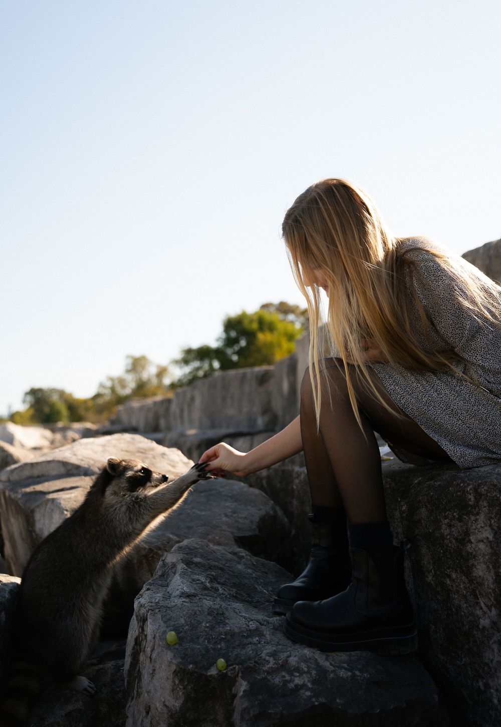 Person sitting on rocky outcrop reaching down to pet black dog at sunset.